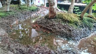 Diorama con Acers Campestres  : 14 mantenimiento del río y del bosque