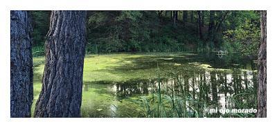 Alrededor de Lertutxe