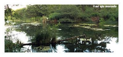 Alrededor de Lertutxe