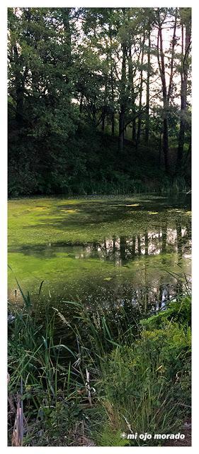 Alrededor de Lertutxe