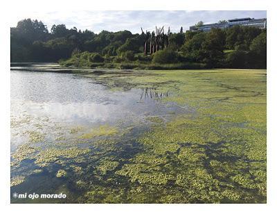 Alrededor de Lertutxe