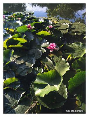 Alrededor de Lertutxe