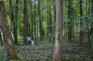 10 pasos para un hogar más ecológico y sostenible 22889795310_6f72c37ff3_k