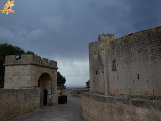 Qué ver en Palma en 1 día?