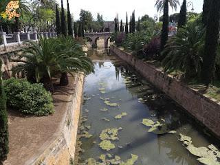 Qué ver en Palma en 1 día?