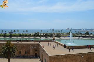 Qué ver en Palma en 1 día? Qué ver en Palma en 1 día?