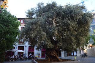 Qué ver en Palma en 1 día? Qué ver en Palma en 1 día?