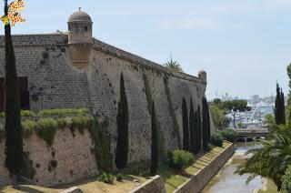 Qué ver en Palma en 1 día? Qué ver en Palma en 1 día?