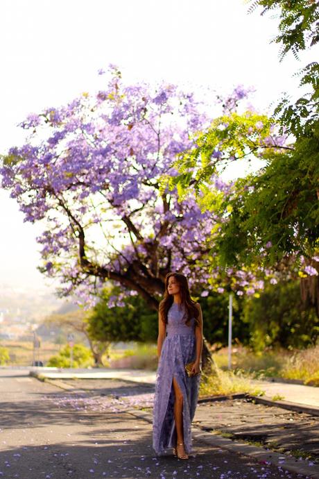 Jacaranda