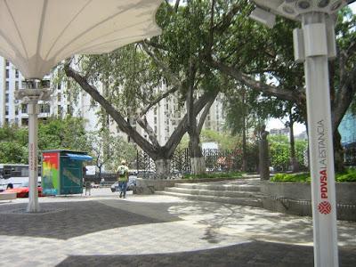 EL RECREO - PDVSA-LA ESTANCIA atendió la llamada emergencia por caída árbol sobre una lampara tipo sombrilla