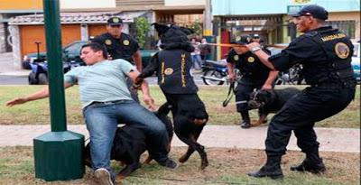 SUBPREFECTO PROPONE SERENAZGO SIN FRONTERAS…