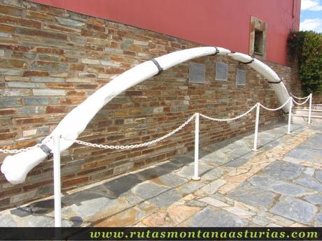 Costilla de ballena en el Mirador de la Riva de Puerto de Vega