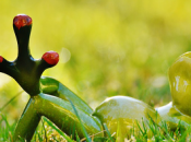 ¿Cómo utilizar imaginación para reducir estrés?