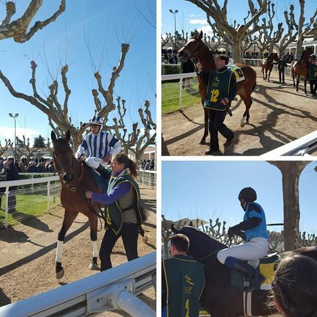 caballos-hipodromo-madrid