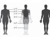 Como regula cuerpo propia temperatura