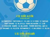 Torneo C.D. Mamed 2016 Alevín Benjamín: Equipos horarios