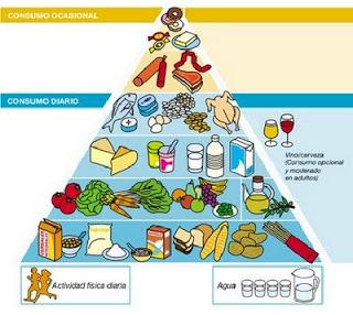 piramidealimentariavi