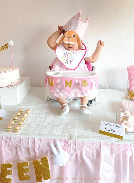 EL PRIMER CUMPLEAÑOS DE MI BEBÉ