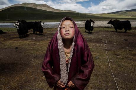 Los ganadores de los Sony World Photography Awards 2016 - Competición Profesional