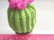 Diy: cactus crochet