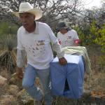 Protección Civil libera 7 águilas en el Día del Medio Ambiente