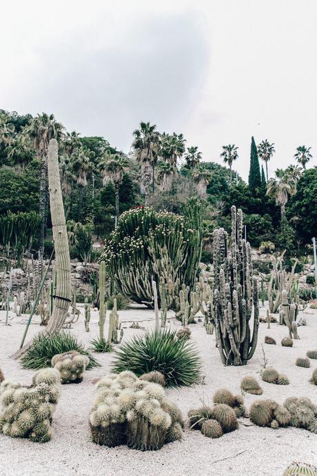 Realisation_Par_Dress-Star_Print-Red_Dress-Outfit-Catonier-Hat-Lack_Of_Color-Black_Sandals_Topshop-Barcelona-Collage_Vintage-Mossen_Gardens-140