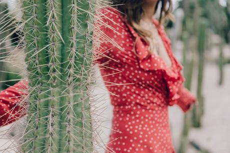 Realisation_Par_Dress-Star_Print-Red_Dress-Outfit-Catonier-Hat-Lack_Of_Color-Black_Sandals_Topshop-Barcelona-Collage_Vintage-Mossen_Gardens-130