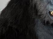 viste semana pasado/CCXXXIII