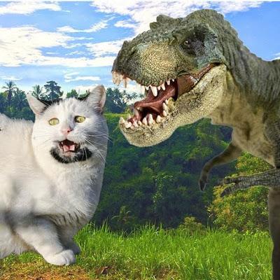 Gatos y dinosaurios