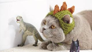 Gatos y dinosaurios