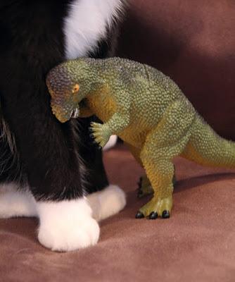 Gatos y dinosaurios