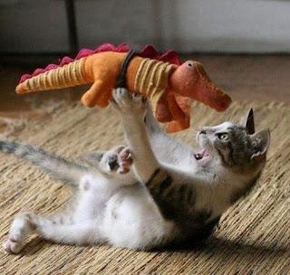 Gatos y dinosaurios