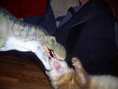 Gatos y dinosaurios