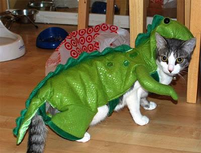 Gatos y dinosaurios