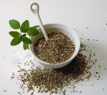 EL OREGANO Y SUS PROPIEDADES MEDICINALES