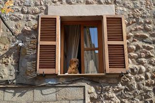 Qué ver en la Serra de Tramuntana - Mallorca