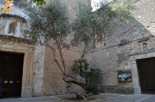 Qué ver en la Serra de Tramuntana - Mallorca
