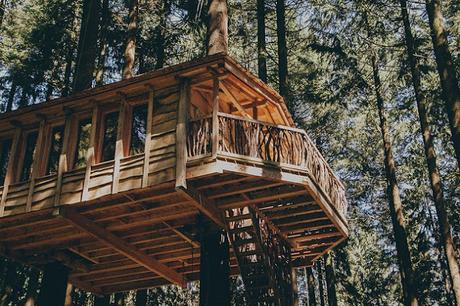 Cabaña Rustica de Madera en Arboles