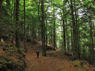 4 Días en Pirineos (día 1: Ordesa - Soaso)