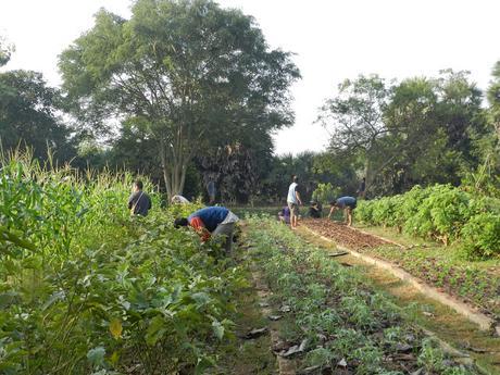 Mi experiencia en la universal ciudad de Auroville (India)