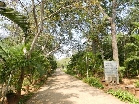 Mi experiencia en la universal ciudad de Auroville (India)