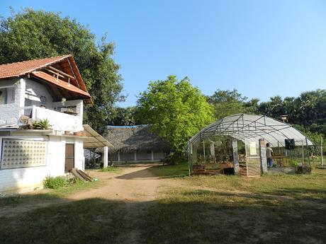 Mi experiencia en la universal ciudad de Auroville (India)