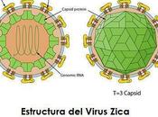 zika juegos olímpicos