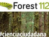 Ciencia ciudadana para luchar contra plagas enfermedades bosque