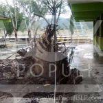 Video: Torbellino derriba árboles y bardas en Villa de Zaragoza,SLP
