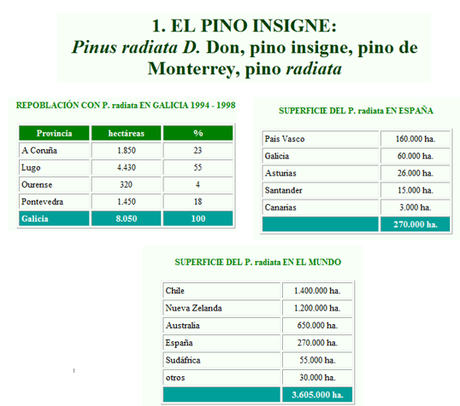 EL PAISAJE VEGETAL ESPAÑOL DE LA REGIÓN EUROSIBERIANA (CLIMA OCEÁNICO)