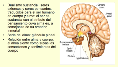 La relación entre alma y cuerpo según Descartes