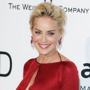El misterioso papel de Sharon Stone en el UCM tiene poderes Sharon Stone