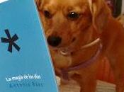 magia días (2016), antonio báez. maestro gestos inútiles.