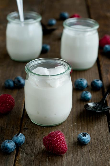Cómo hacer yogur de coco Cómo hacer yogur de coco